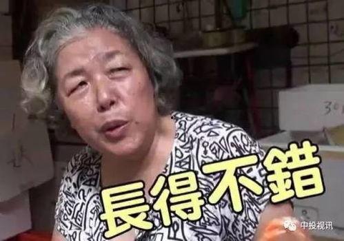 娱乐八卦吃瓜假博士加戏