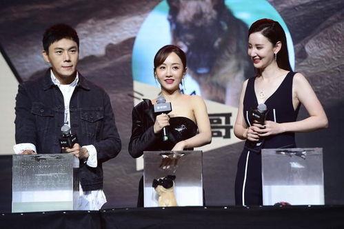 吃瓜娱乐圈新娱文化,吃瓜文化引领的“新娱”风尚