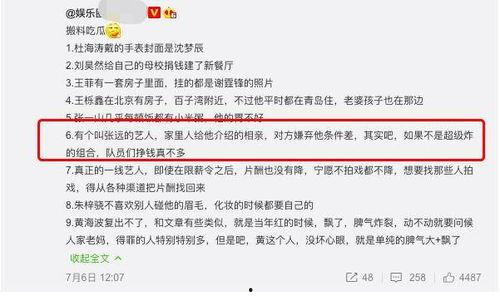 娱乐吃瓜外交小说在线阅读,娱乐界的国际风云录